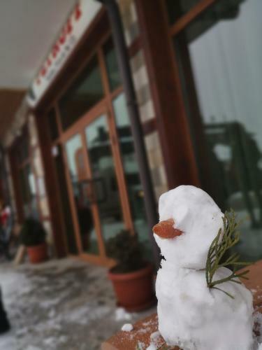 Petroff Apartments Bansko