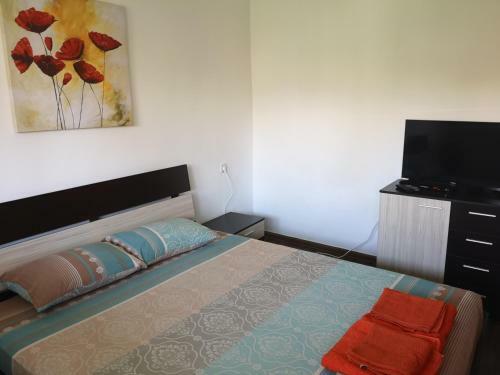Single Apartment Elit