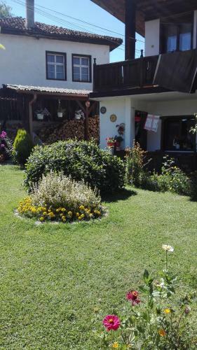 Hostal Cozy Home