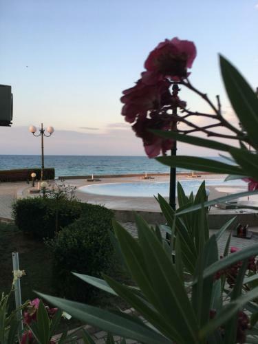 Apartament La Perla