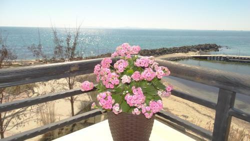 Akrotiria Beach Apart Complex