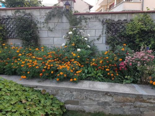 Bed & Breakfast Matevi