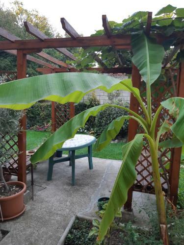 Bed & Breakfast Matevi