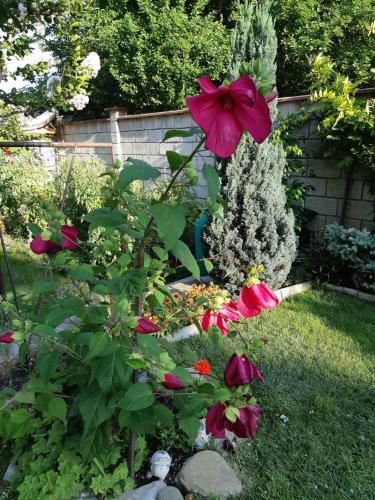 Bed & Breakfast Matevi