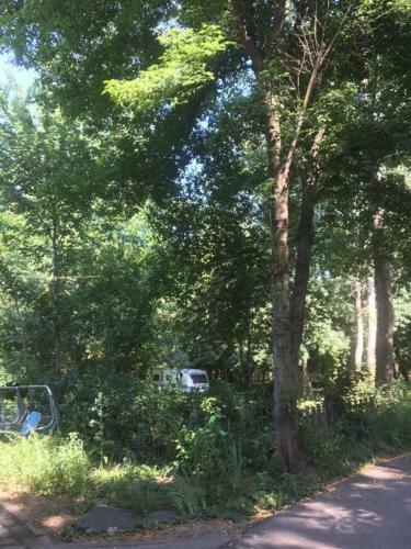 Camping Trakiya 4 Km.