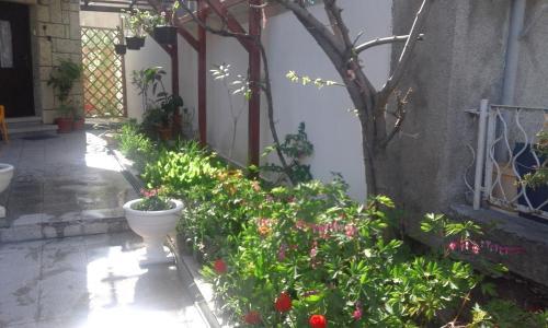 Hostal Kraybrezhna 3
