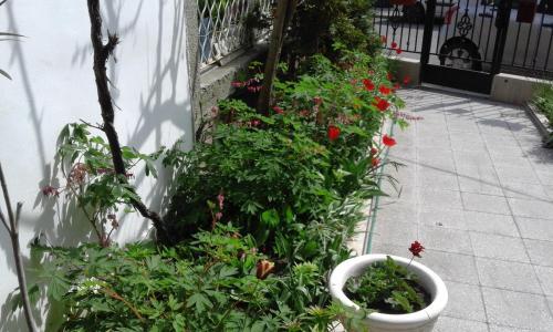 Hostal Kraybrezhna 3
