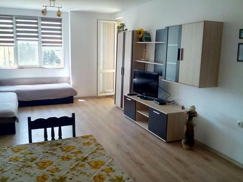 Apartment Biliana