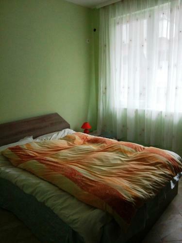 Apartment Sirena