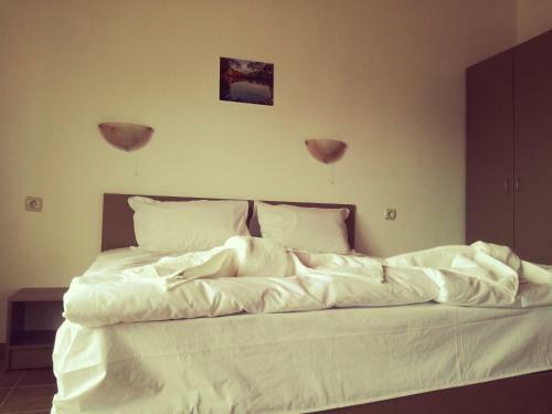 Hostal Siana House
