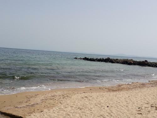 Hostal Siana House