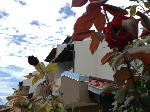 Hostal Siana House
