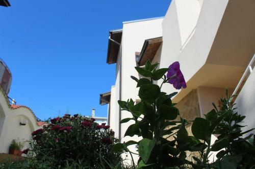 Hostal Siana House