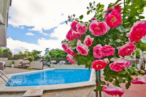Apartamento Amfora Suites