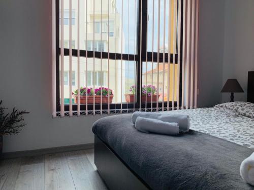 Babylon Apartment