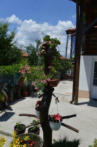 Hostal Guest House Vasilena