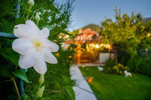Hostal Guest House Vasilena