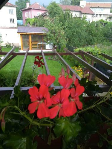 Hostal Guest House Vasilena