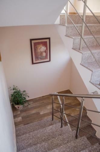 Hostal Guest House Dinevi