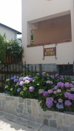 Hostal Villa Etno