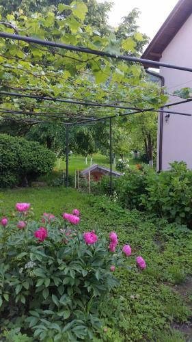 Hostal Villa Etno