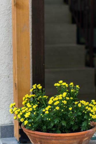 Hostal Sofia Family House