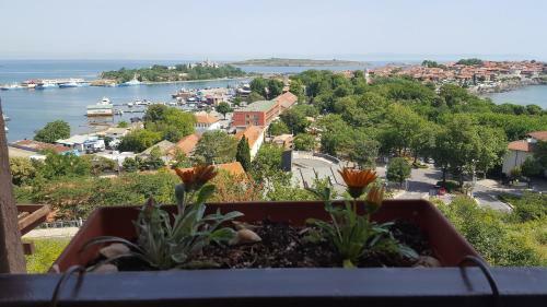 Apartamento The Great Sea View