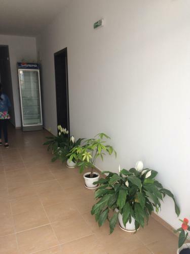 Hostal Guest House Kolev 2