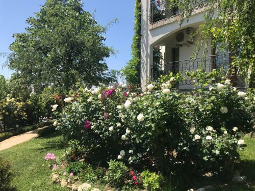 Private Apartment Triumph