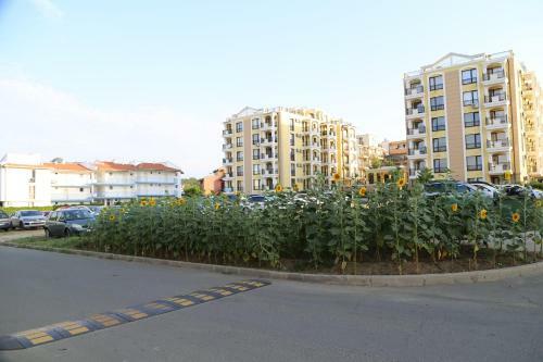 Seaside Apartment