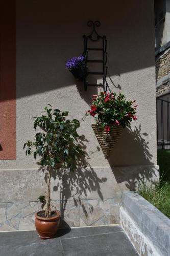 Apartamento Dreamcatcher's Home
