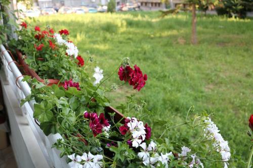 Central Varna Apartment - Lets4holiday
