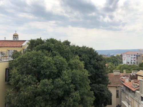 Apartamento Jivko's Studio