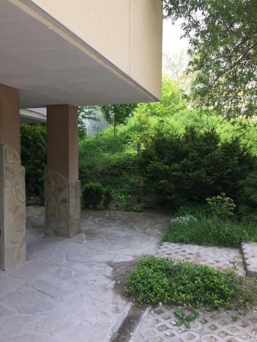 Under The Walnut Tree Apartment