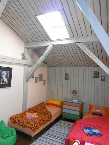 Rooster Hostel
