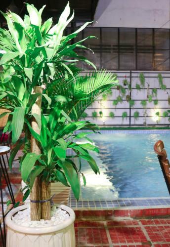 Hostal Sy Guesthouse