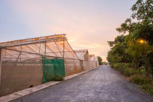Amarak Farm