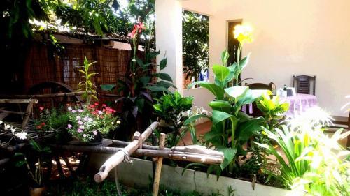 Siem Reap Friendly House
