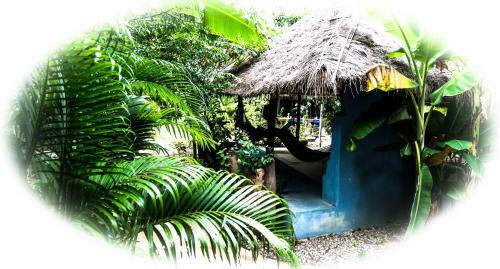 Lodge Blue Indigo Yoga Retreat