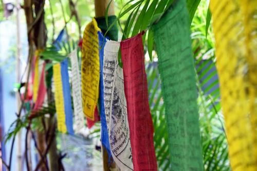 Lodge Blue Indigo Yoga Retreat