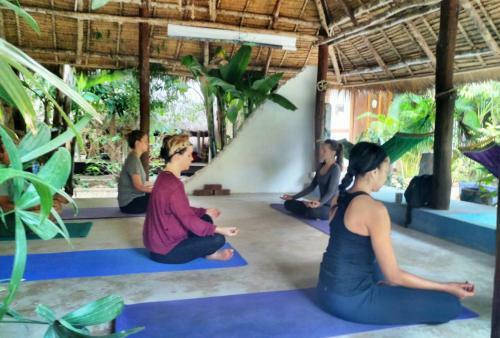 Lodge Blue Indigo Yoga Retreat