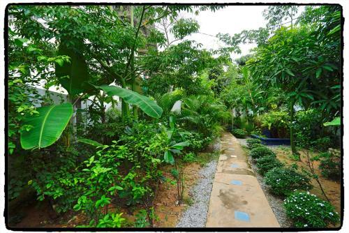 Lodge Blue Indigo Yoga Retreat
