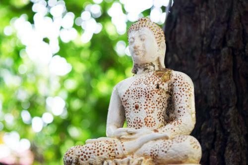 Lodge Blue Indigo Yoga Retreat
