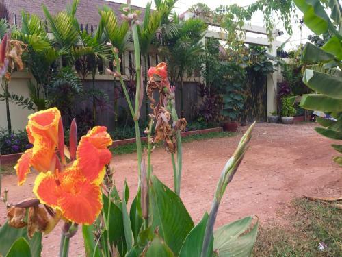 Happy Hippies Hostel