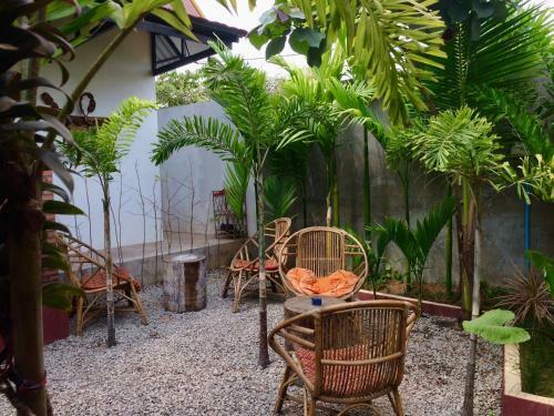 Happy Hippies Hostel