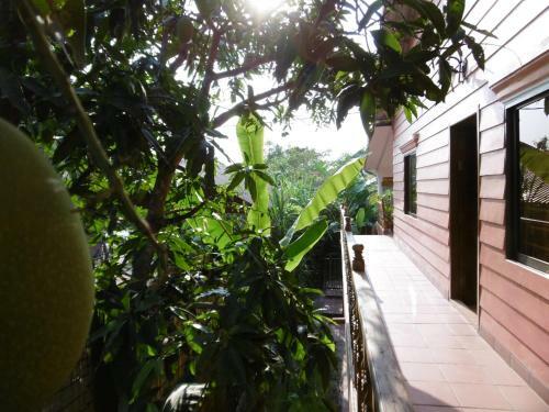 Andre Boutique Villa