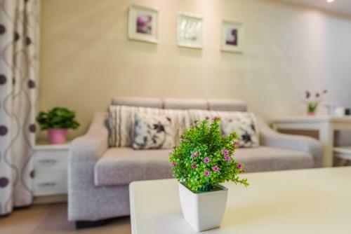 Chengdu Jiwu Aparthotel-wuhouci Jinli Branch