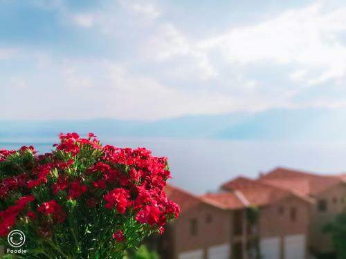 Hostal Dali Lila's House Seaview Guesthouse
