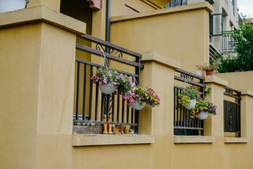 Hostal Dali Lila's House Seaview Guesthouse
