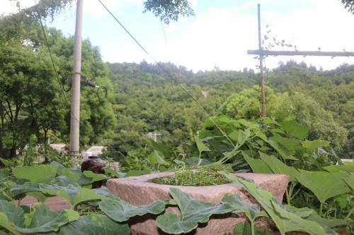 Hostal Baidie Xiyu Maimai Yard Guest House